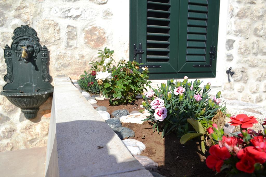 Lanterna Apartments Kotor Quarto foto